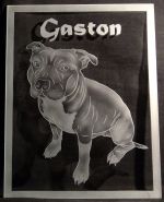 photo: Dárak majiteli krasavce Gastona